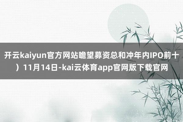 开云kaiyun官方网站瞻望募资总和冲年内IPO前十）11月14日-kai云体育app官网版下载官网
